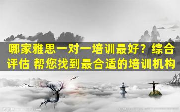 哪家雅思一对一培训最好？综合评估 帮您找到最合适的培训机构